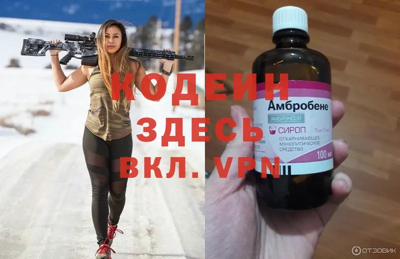 МЕГА зеркало  Нерчинск  Codein Purple Drank 